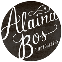 Romantic Chicago Wedding and Lifestyle Photography by Alaina Bos logo